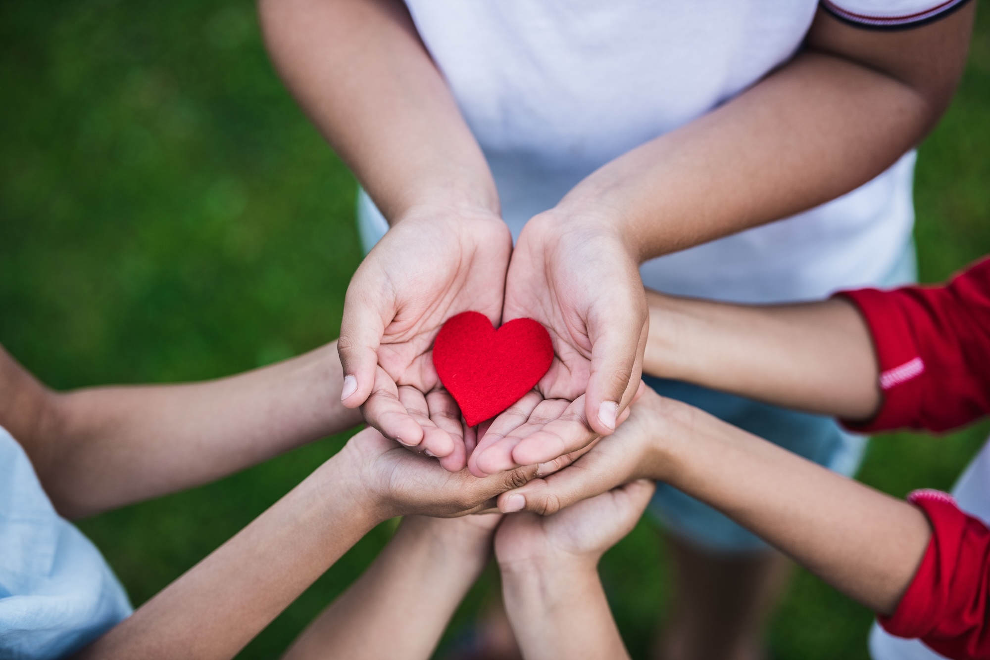 Cut out heart in hands