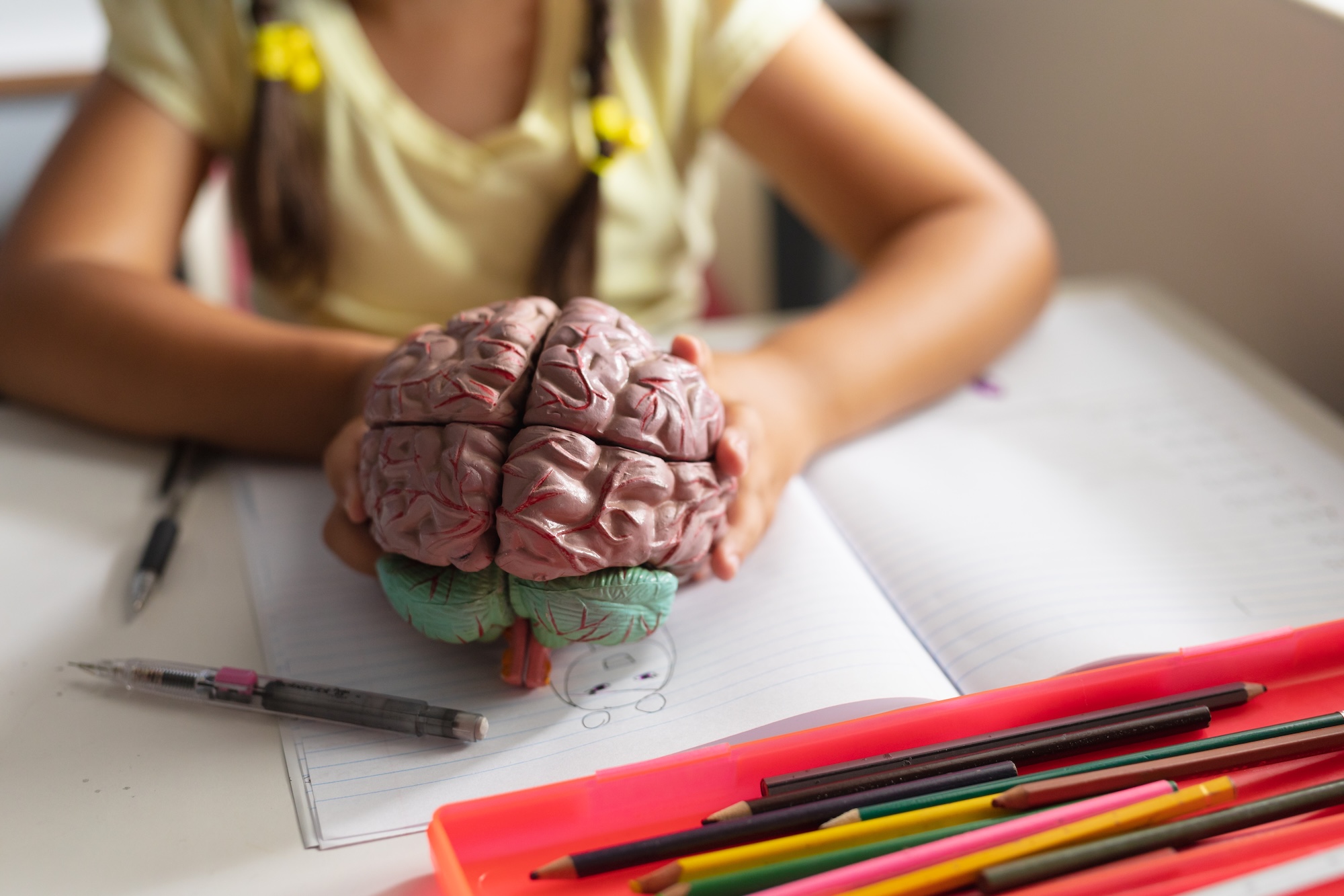 Little girl and a brain